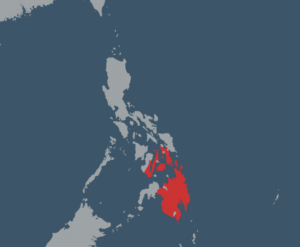 cebuano